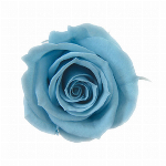 プリザーブドフラワー スプレーローズ ドルチェピンク FL000070-090