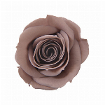 プリザーブドフラワー スプレーローズ ホリゾンブルー FL000070-091