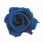 プリザーブドフラワー グレースローズステム付 グランブルー FL000092-0..