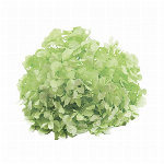 プリザーブドフラワー スタンダードローズ シャーベットオレンジ FL000100..