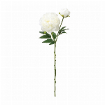 MAGIQ　造花 ミニョンヌファレノ ＃６　　　ＰＥ／ＰＫ FM008806-0..