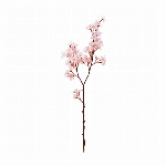 花瓶　フラワーベース ｆｕｊｉ ＣＬＥＡＲ CC777821-000