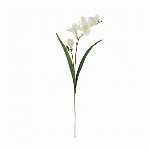 花瓶　フラワーベース Ｐｅｔｉｔ　Ｊａｒｄｉｎ　ｍｉｎｉ　２０Ｌ９Ｗ１０．５Ｈ ..