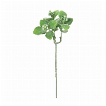 花瓶　フラワーベース Ｔｈｅ　ＶＡＳＥ　ｔｙｐｅ　Ｄ ＷＨＩＴＥ CC36643..