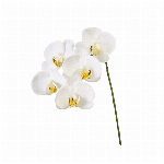 東京堂 花瓶 花器（陶器） ＴＳＵＺＵＭＩ  Φ7×H5cm CC159501-..