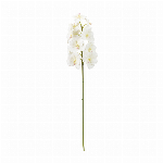 東京堂 造花 サニーレタス グリーンブラウン Φ9.5×L14cm FV0018..