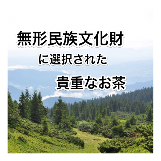 photo8