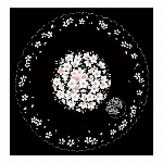 刺繍スカラー　大判まるハンカチ　桜友禅　コン