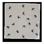 ハンカチ　蕉風　ツバメ　クロ