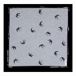 ハンカチ　蕉風　トンボ　グリーン