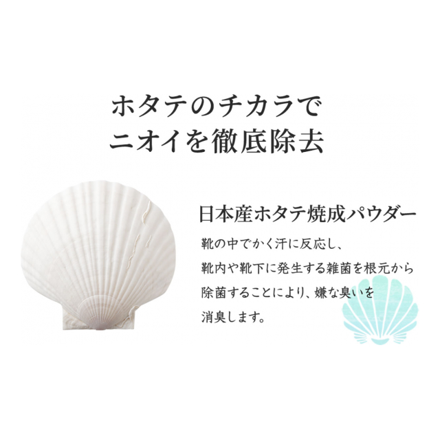 photo7
