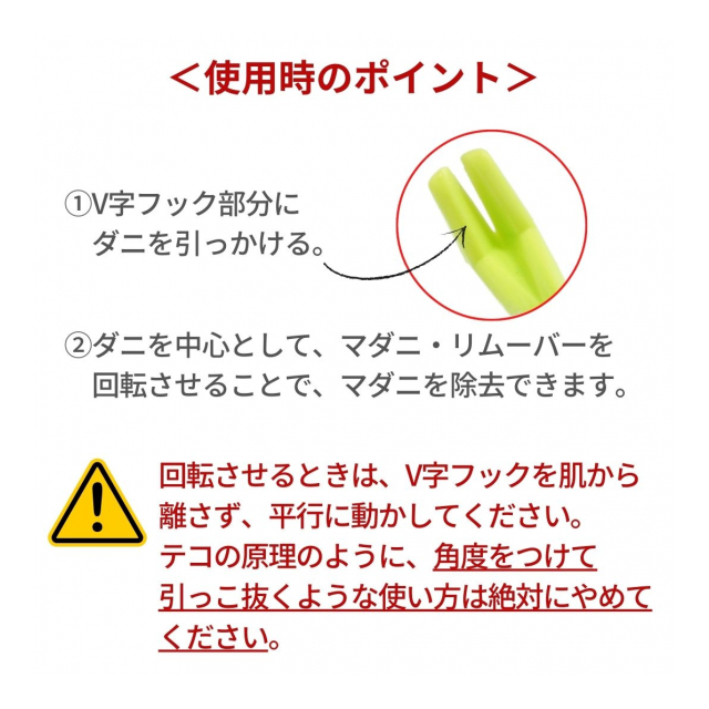 photo4