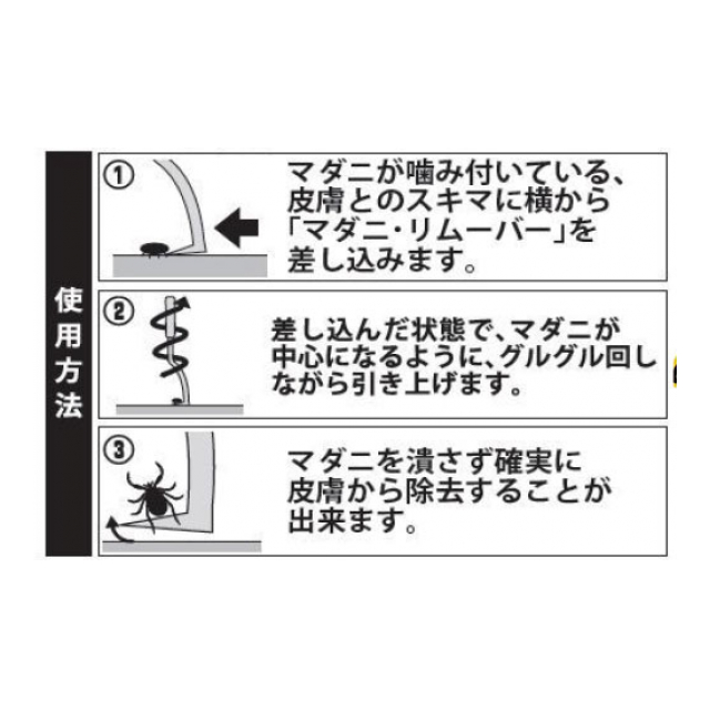 photo5