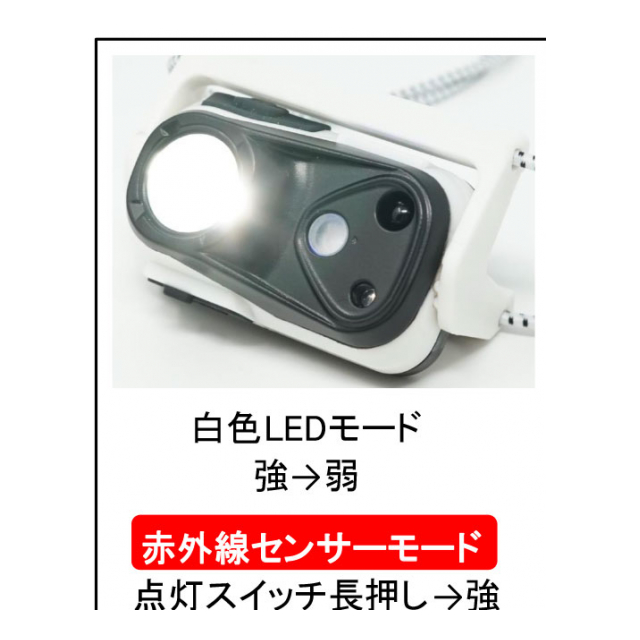 photo2
