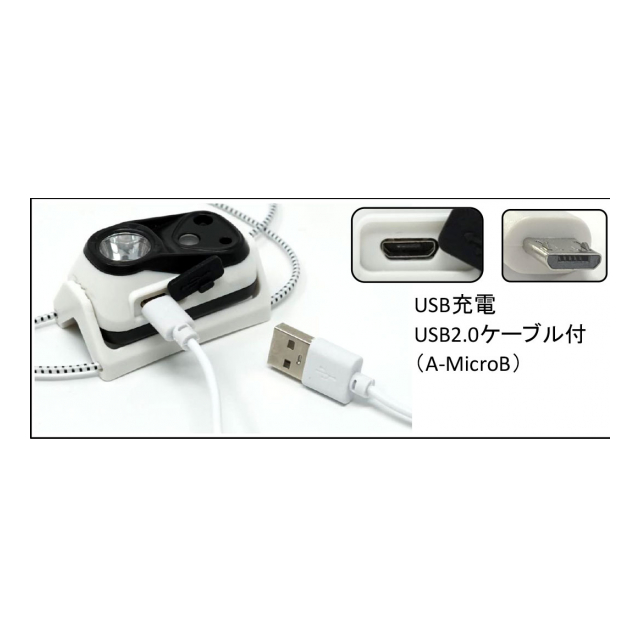 photo5