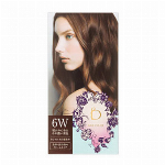 ベネフィーク ヘアカラー 5W
