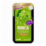 虫きちゃダメ６０枚      　　　　　　60＋6　17281