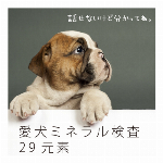 愛犬ミネラル検査29元素