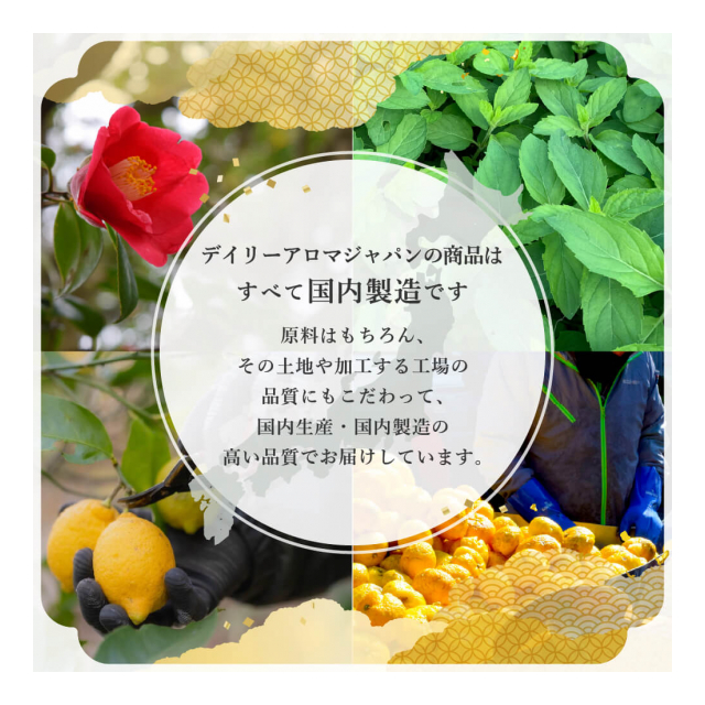 photo6
