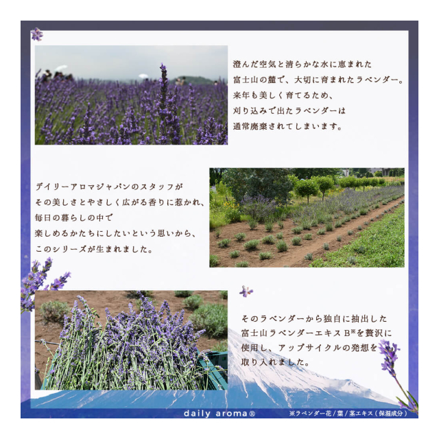 photo8
