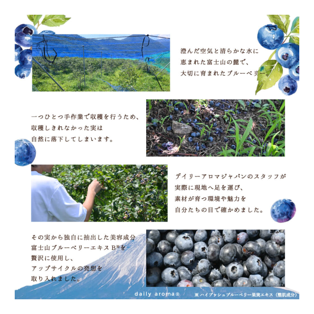photo7