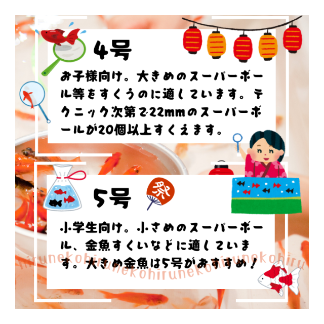 photo2