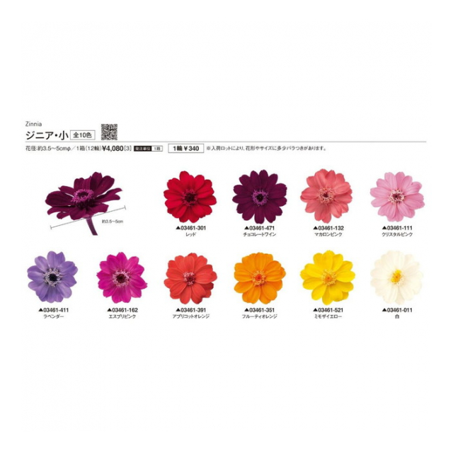 大地農園 ドライフラワー「ジニア マカロンピンク 1ケース」プリザ