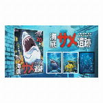 海底サメ遺跡