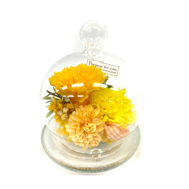 photo1