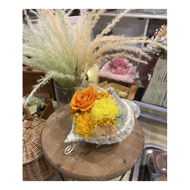 photo5