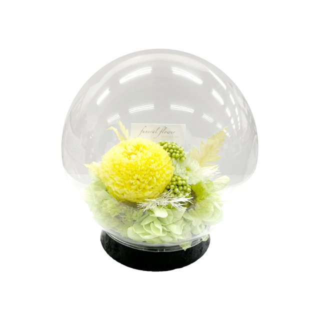 photo1