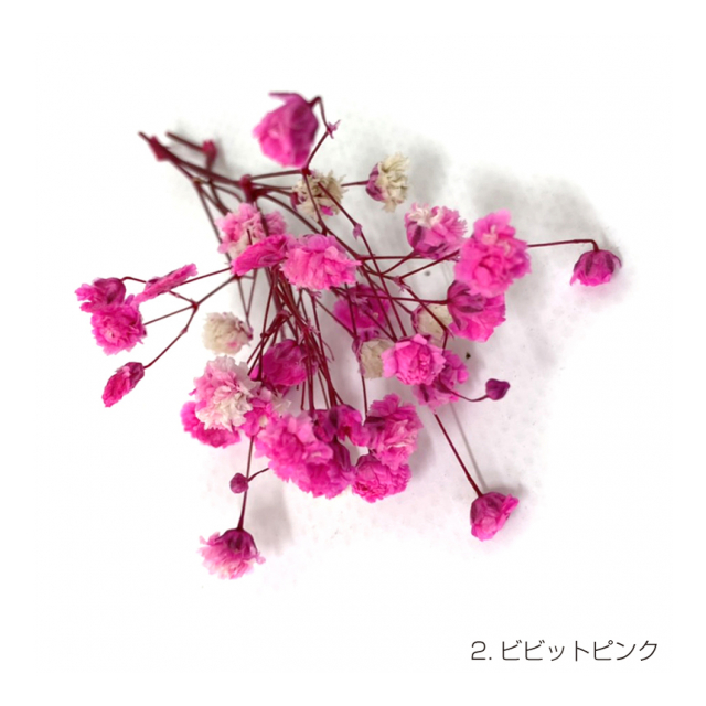 photo1