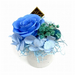 コレクト ライトグリーン プリザーブドフラワー 仏花 お供え 初盆 和盆 回忌 ..