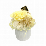 マイラ イエロー プリザーブドフラワー フラワーアレンジメント バラ アジサイ ..