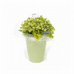 琴音彩-ことねいろ- パープル 仏花 お供え 初盆 和盆 回忌 年忌 マム キク..