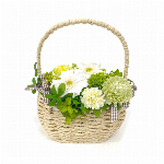 お供えアレンジといろはあかりS ピンク しだれ桜 仏花 お供え 初盆 和盆 回忌..
