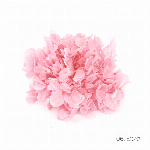 花材 カラーミリオ ピンク プリザーブドフラワー