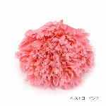 花材 フリルカーネーション ピンク プリザーブドフラワー