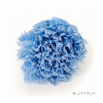 花材 フリルカーネーション ターコイズブルー プリザーブドフラワー