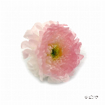 花材 ライスフラワー(ナチュラルシリーズ） イエロー プリザーブドフラワー
