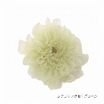 花材 クラシックマムカレン クラシックオレンジ プリザーブドフラワー