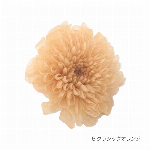 花材 ライスフラワー(ナチュラルシリーズ） ホワイト プリザーブドフラワー