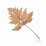花材 カラーレザーファン ホワイト プリザーブドフラワー 葉っぱ