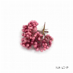 花材 ライスフラワー(ナチュラルシリーズ） オレンジ プリザーブドフラワー