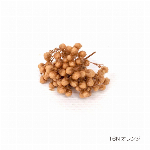 花材 ライスフラワー(ナチュラルシリーズ） バイオレット プリザーブドフラワー