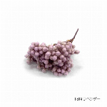 花材 ライスフラワー(ナチュラルシリーズ） ブルー プリザーブドフラワー
