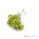 花材 グラデーションマムこまち ミルキー プリザーブドフラワー
