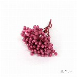 花材 ライスフラワー レッド プリザーブドフラワー