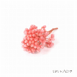 花材 ライスフラワー ベリー プリザーブドフラワー