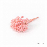 花材 ライスフラワー リップピンク プリザーブドフラワー